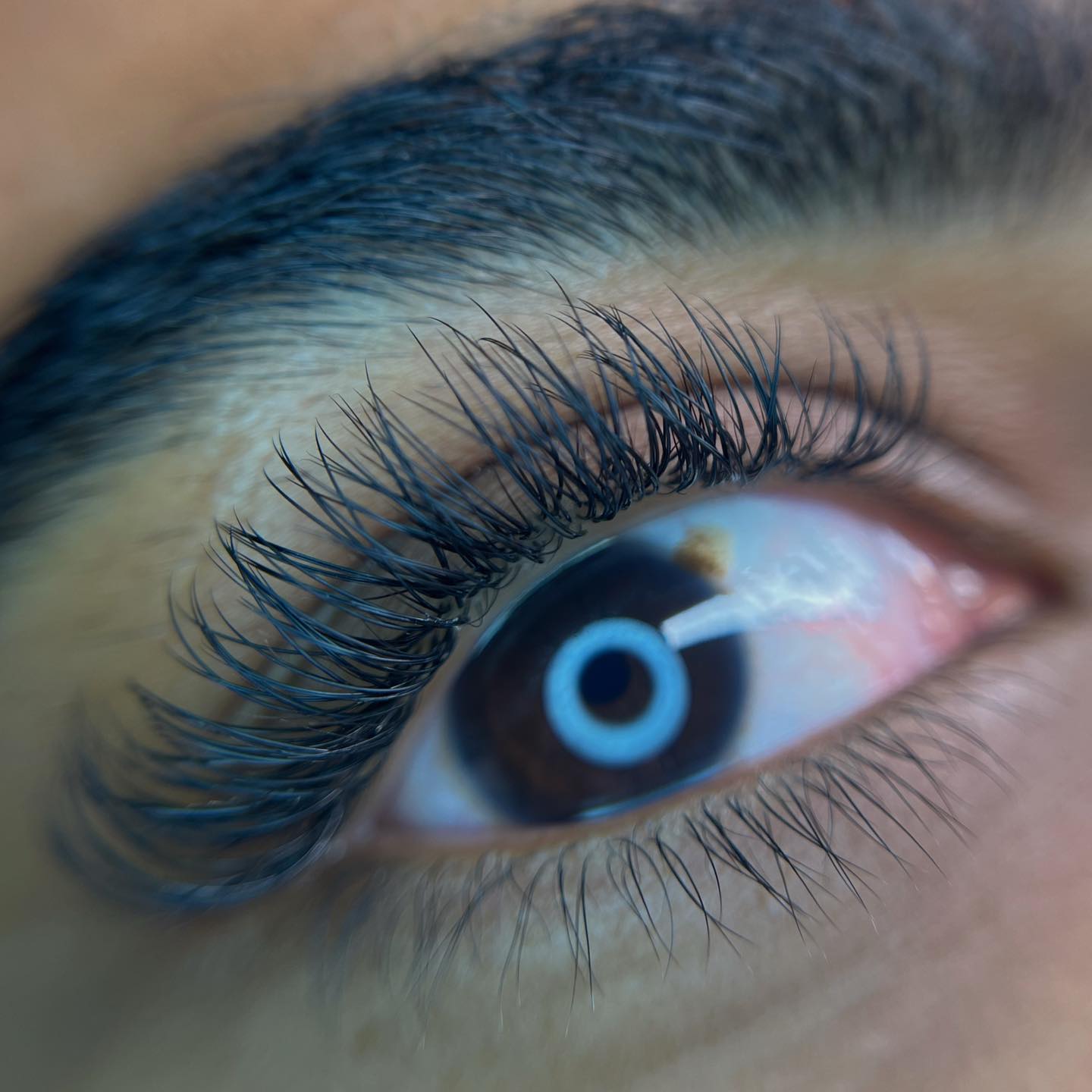 Close-up of a full, fanned lash set
